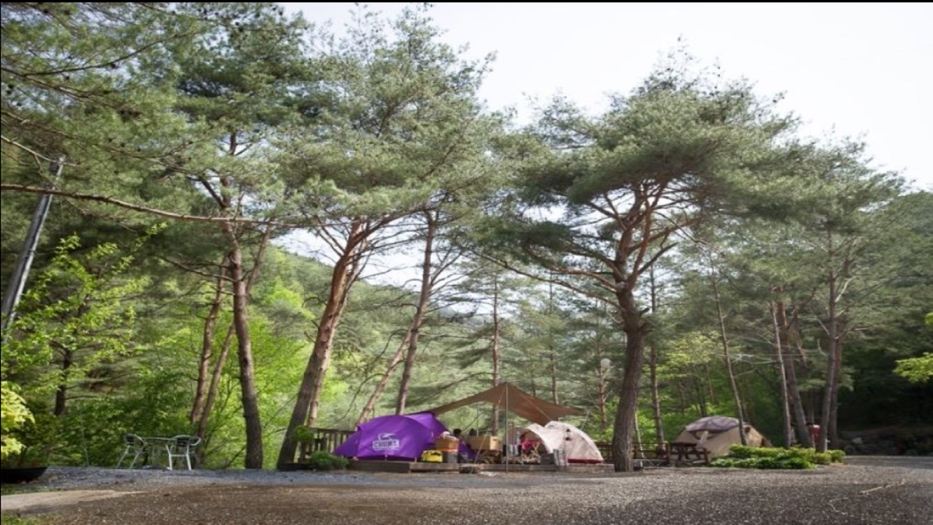 영월군 영월 캠프 예약 바로가기