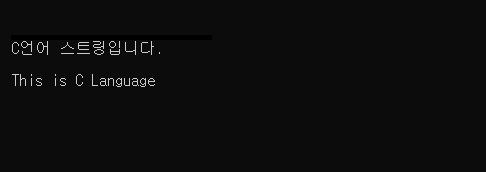C언어 스트링