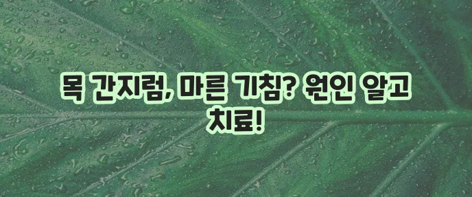 목 간지러움 원인과 마른 기침 이유 4가지 확실히 알아보고 치료하자!