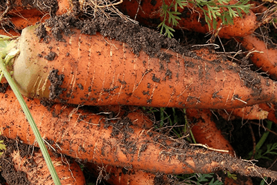 구우면좋은음식12