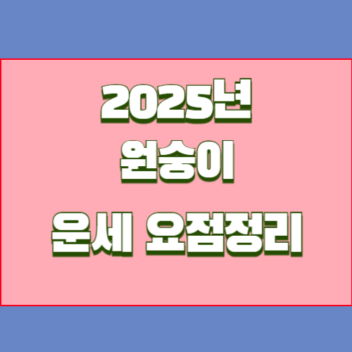 2025년 을사년 원숭이띠 운세를 알아봅시다
