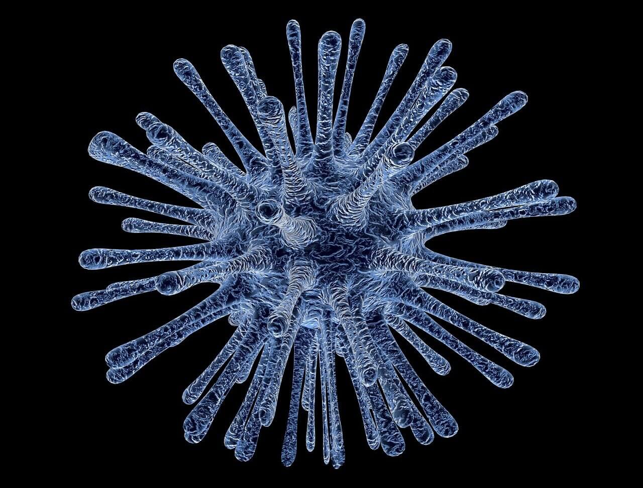 hiv 바이러스 감염 초기증상