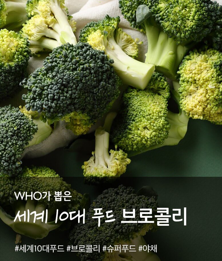 홈플러스 25주년 슈퍼세일 Best 11