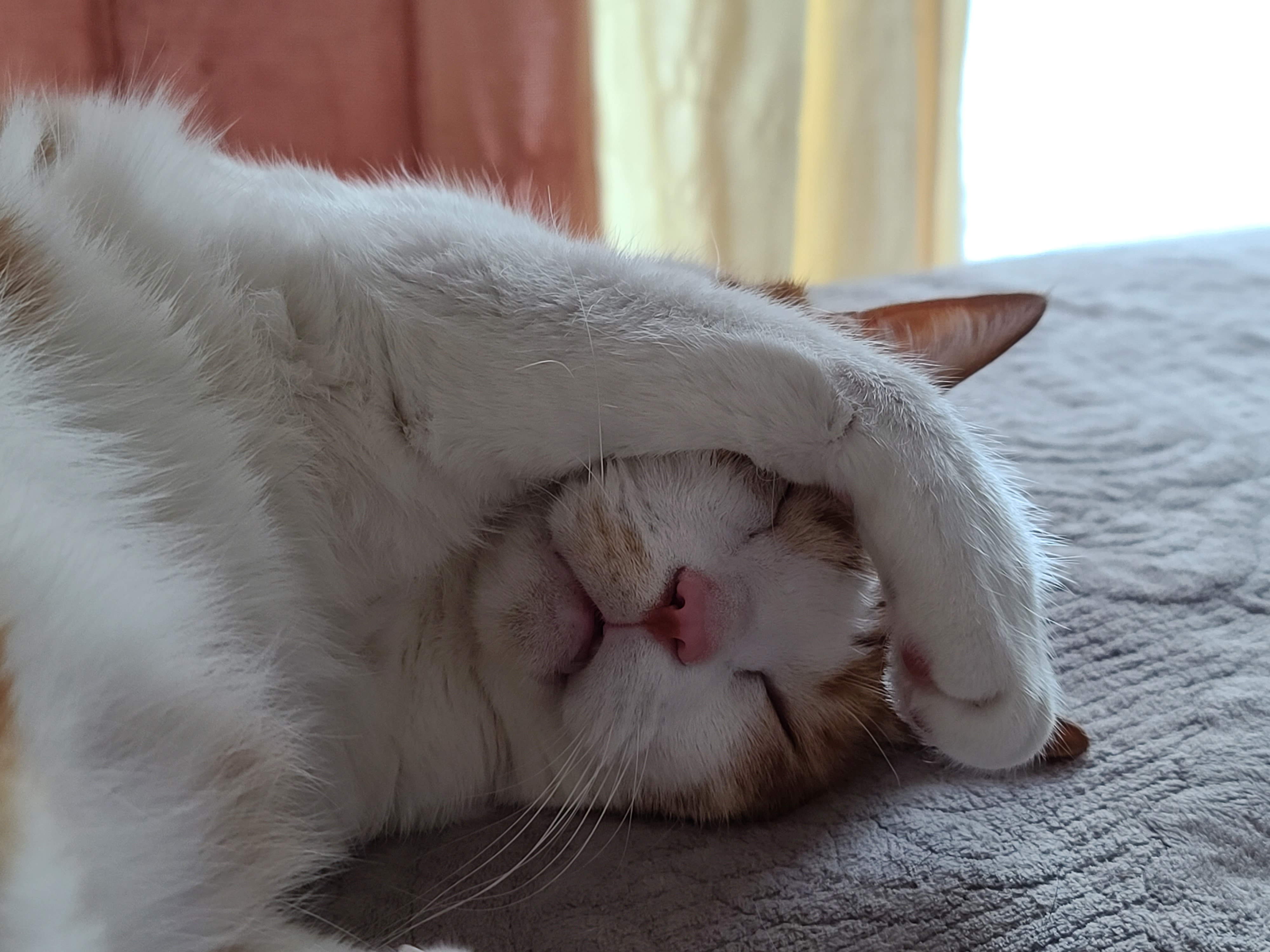 힘든 월요일은 막둥이의 귀여움으로 극복!