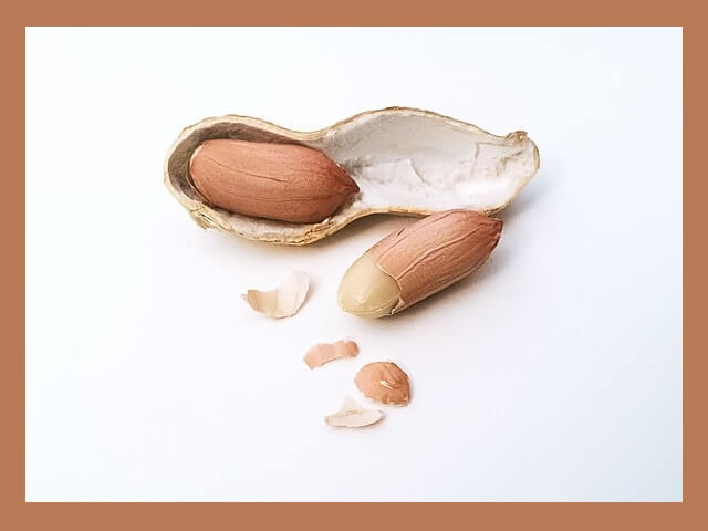 껍질깐-생땅콩