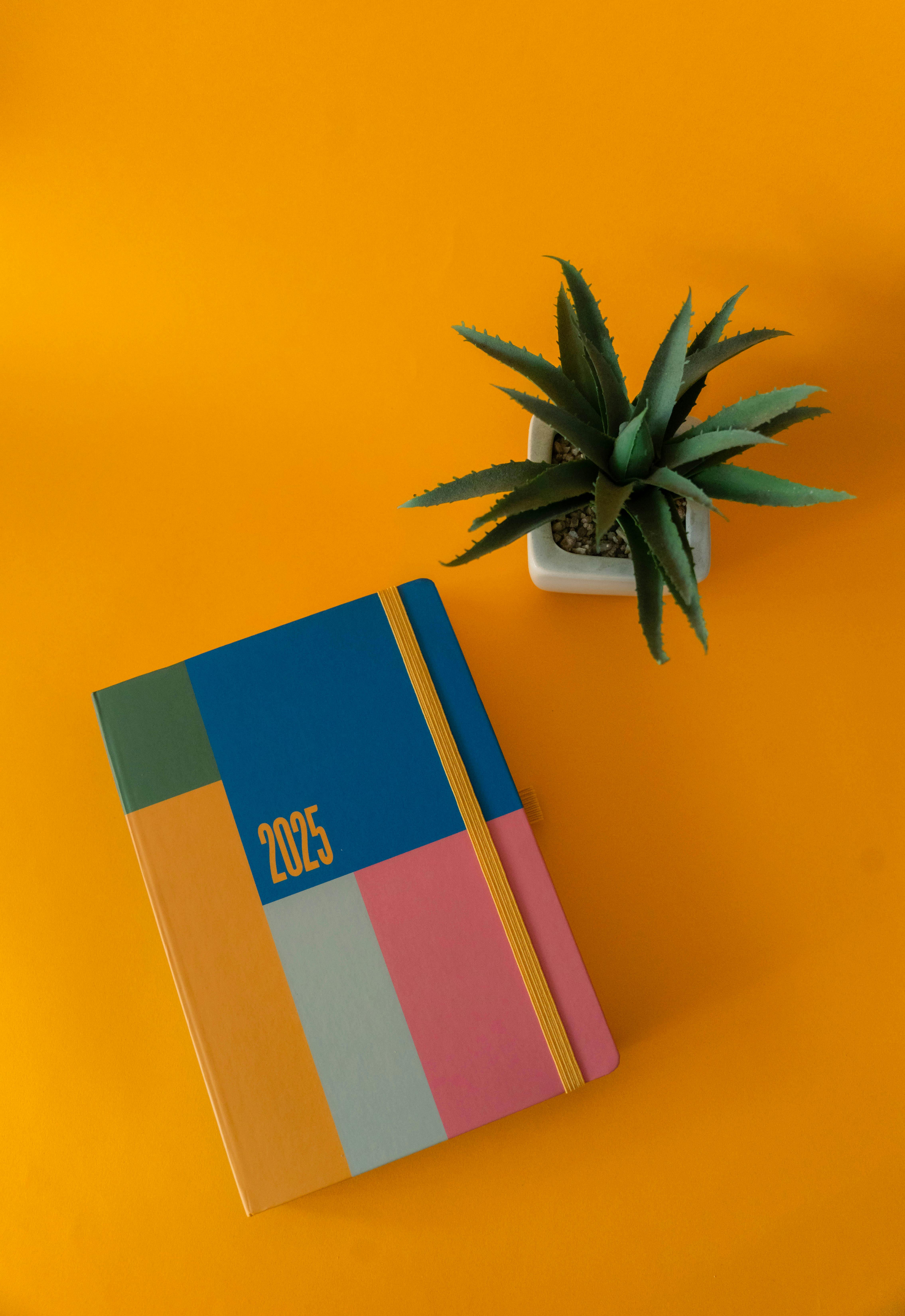 2025년 개인/사업자 세금납부 일정