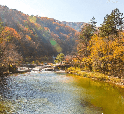 단풍여행 당일 단풍버스여행