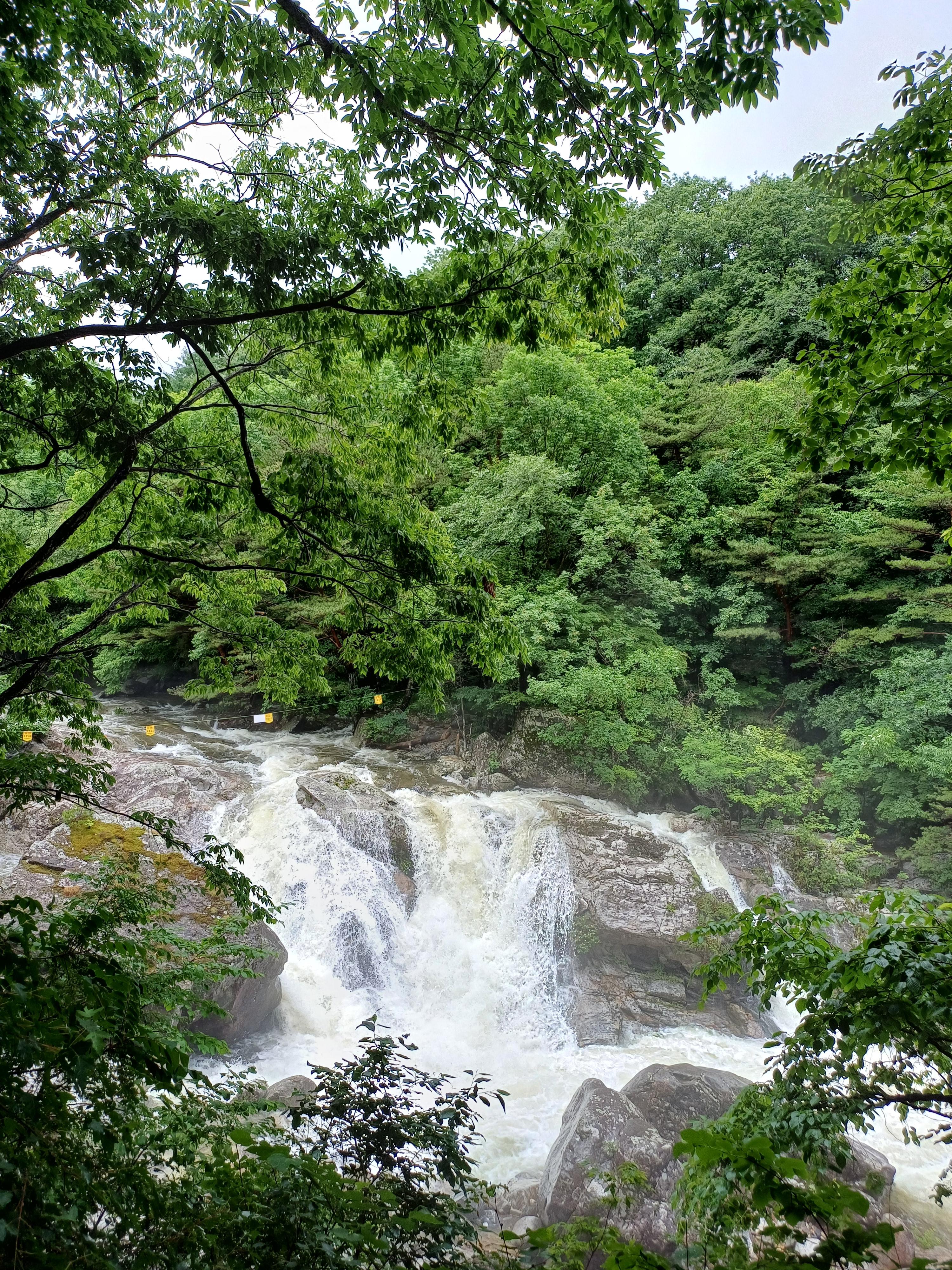 무주구천동 계곡