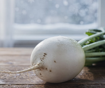 겨울철 무우 보관법