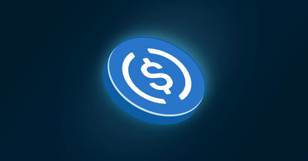 USDC(USD Coin) 코인 시세 전망