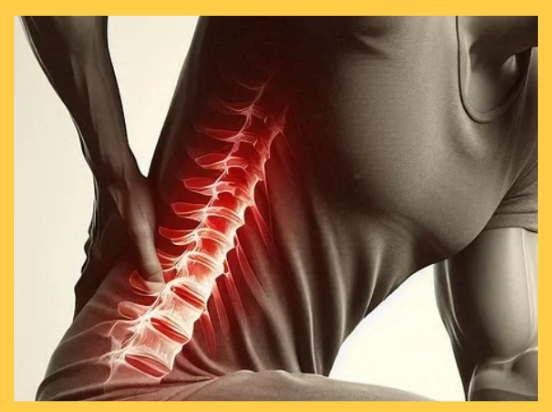 허리통증 원인, 허리에 좋은 운동