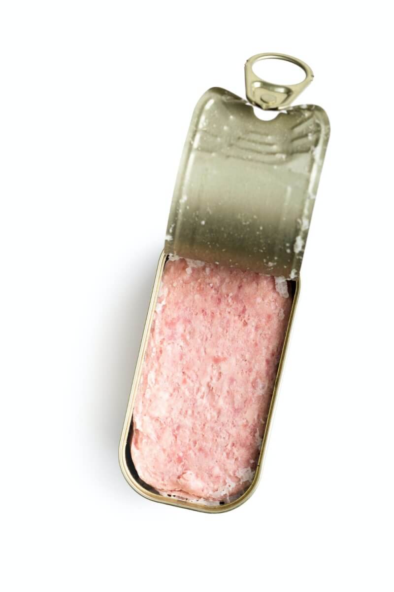 통조림에-담긴-스팸