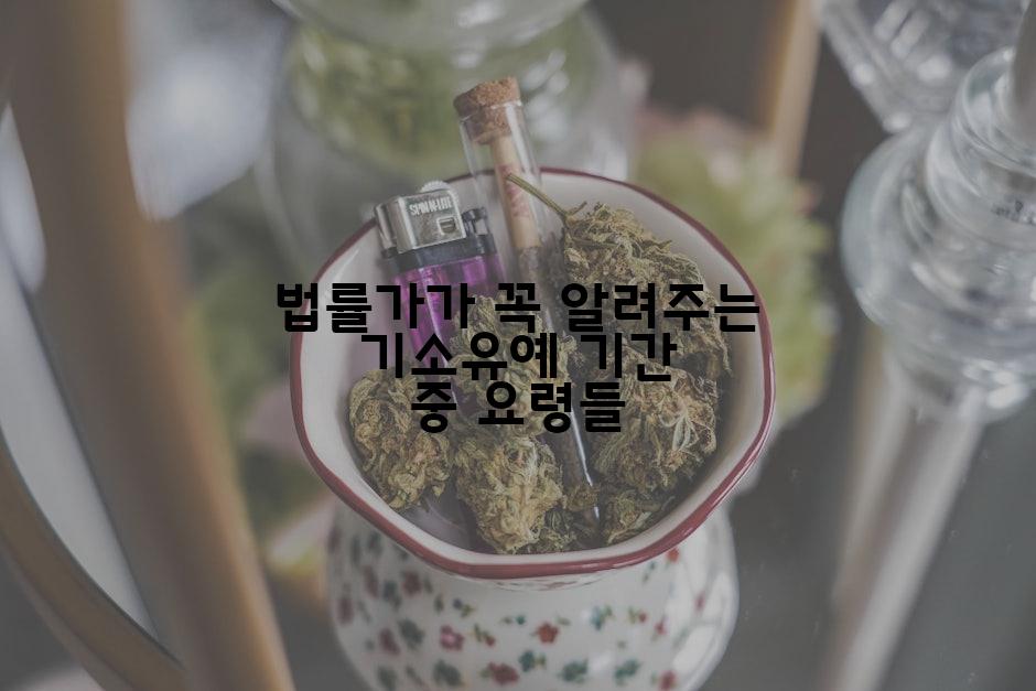 법률가가 꼭 알려주는 기소유예 기간 중 요령들