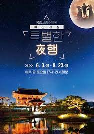 특별한 야행