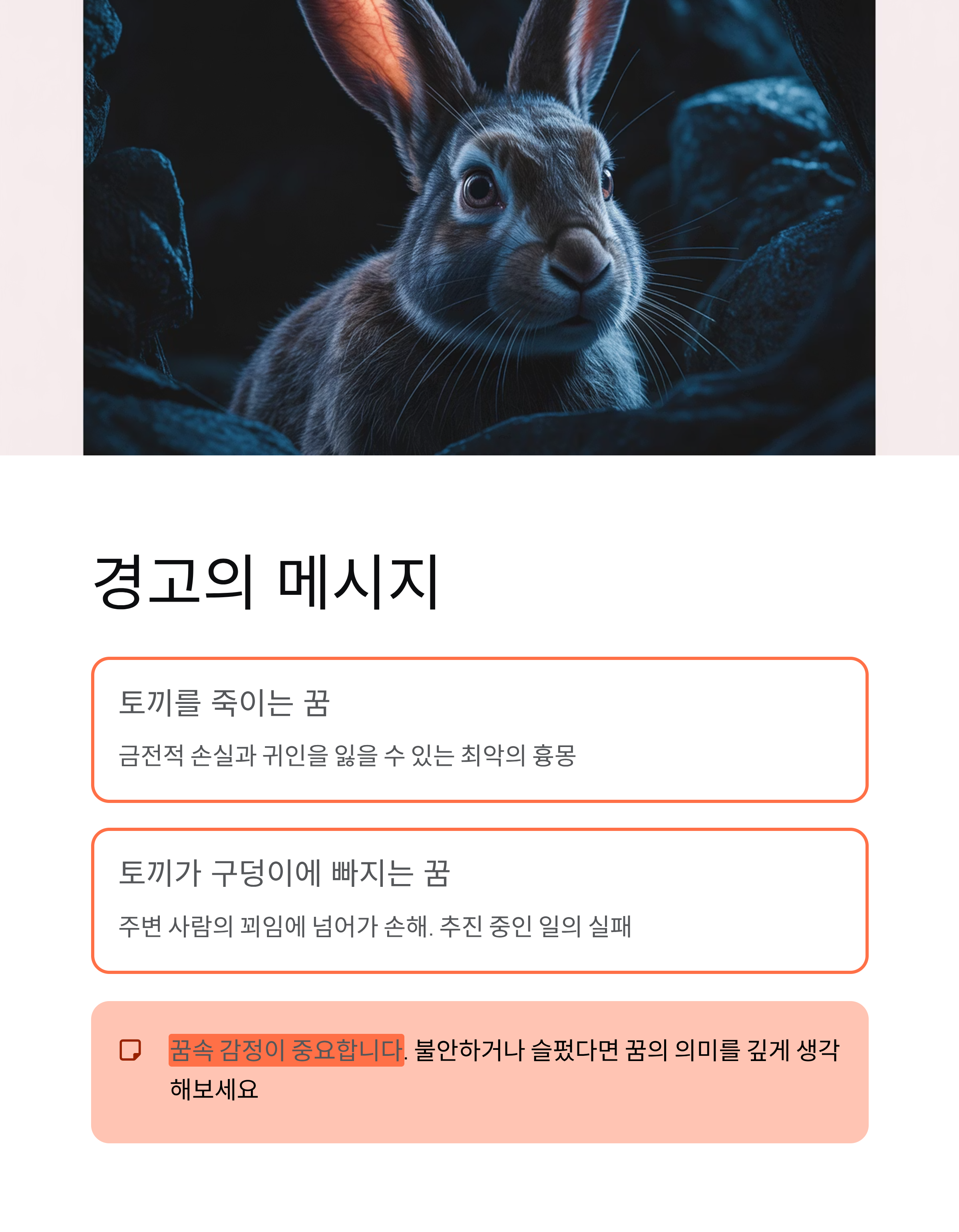 🐇 토끼꿈: 행운과 횡재수 폭발! ,토끼 태몽부터, 하얀토끼 꿈 해몽까지 10가지 풀이!
