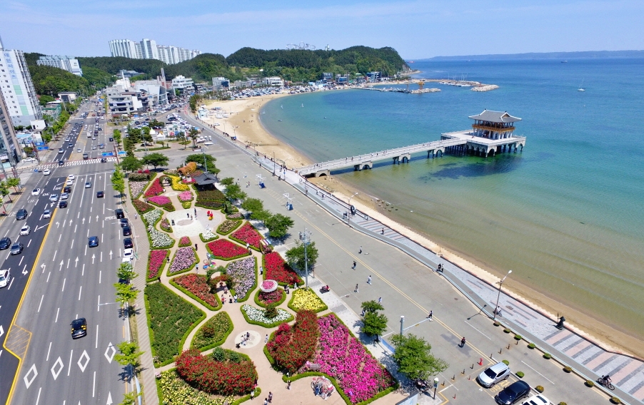 포항 바다장미축제