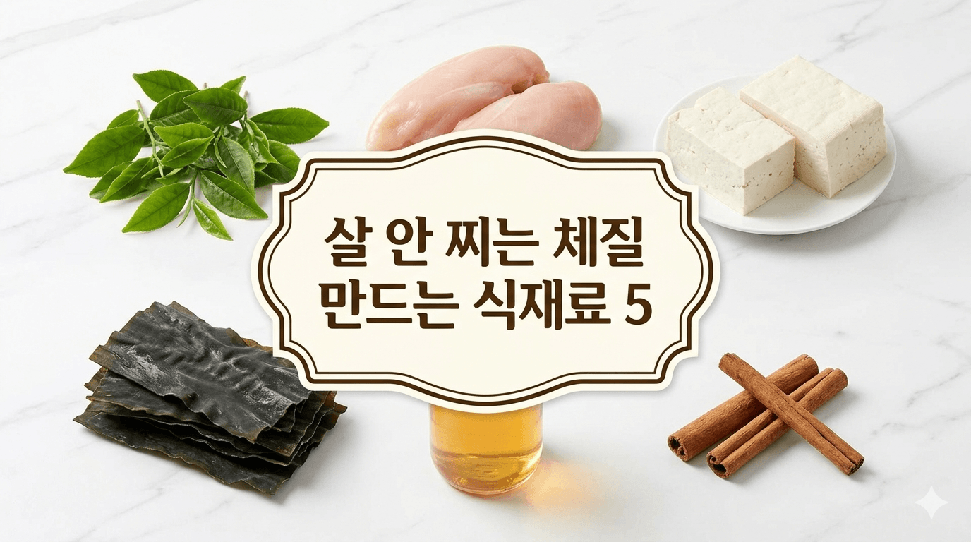 먹어도 살 안 찌는 체질을 만들어주는 식재료