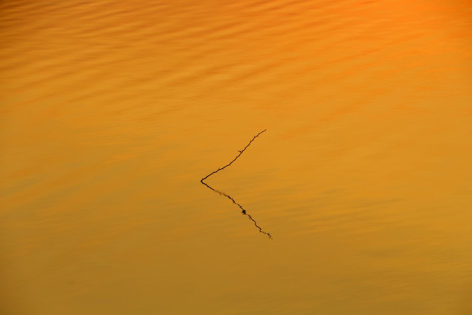 A tranquil scene of a sunset reflecting on water, featuring a lone branch.