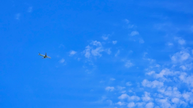 비행기가 자주 왔다갔다 한다.