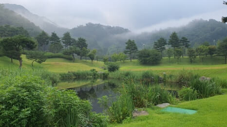 골프장 경험담 가평 리앤리cc 남녀노소 누구나 즐길 수 있는 골프장 자연 속 퍼블릭 27홀