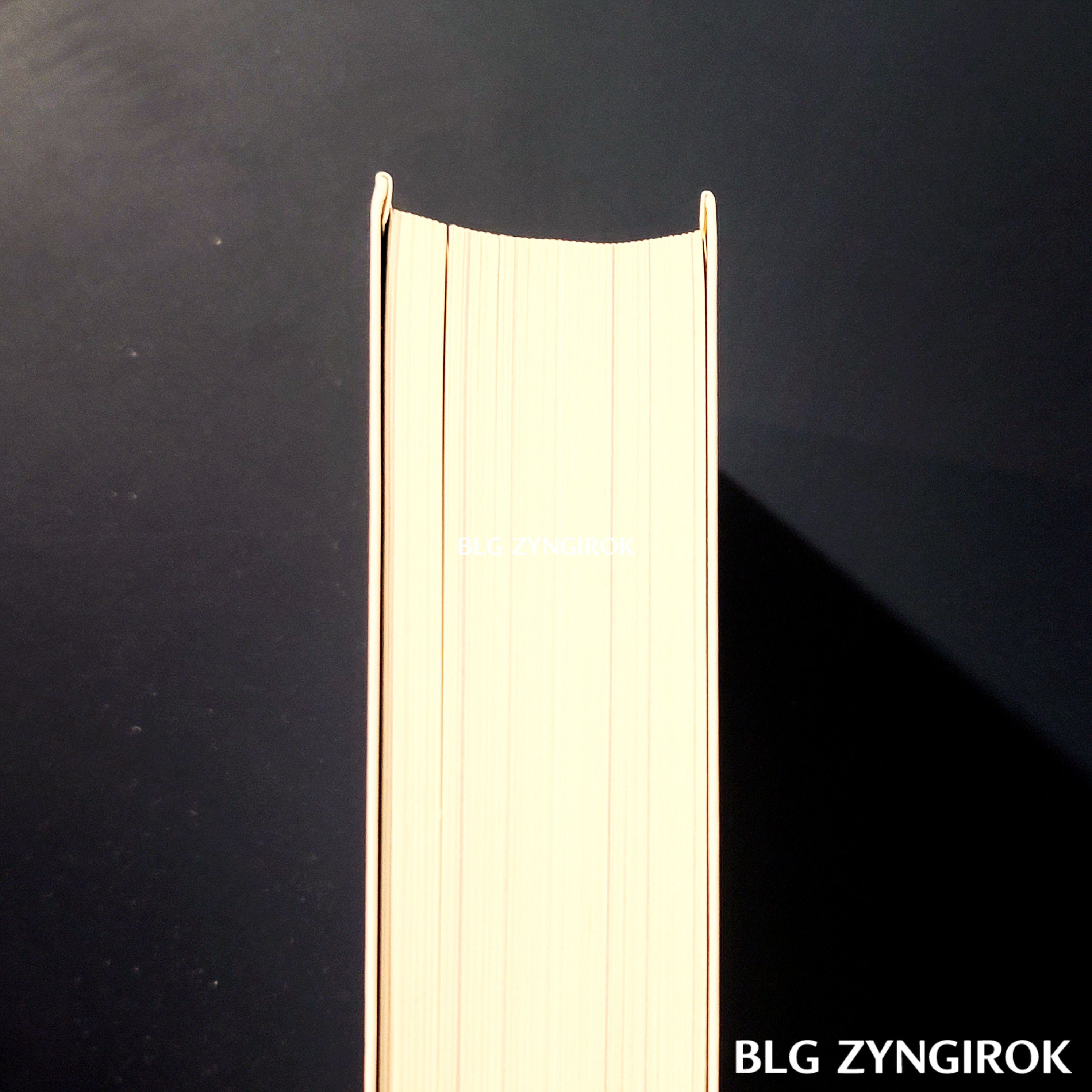 모스크바의-신사-책의-두께를-나타낸-사진이다.