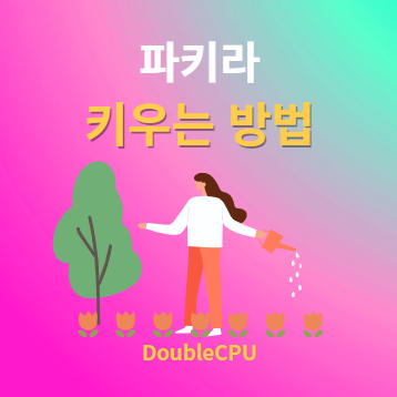 파키라 키우기