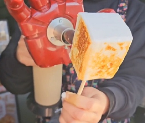 영덕-마시멜로-아이스크림