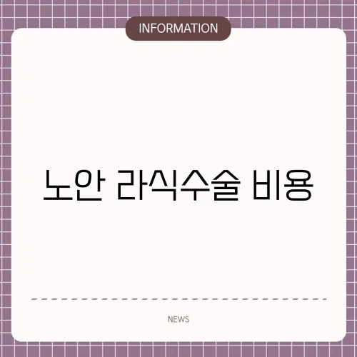 노안 라식수술 비용
