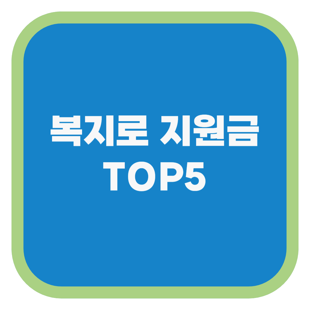 복지로 지원금 TOP5