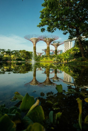 싱가포르 여행 추천 가든스 바이 더 베이