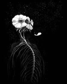 검은-바탕에-희색-껓잎이-하나-떨어지는-모습