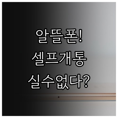 알뜰폰 셀프개통 실수 없이 하는 법 ..