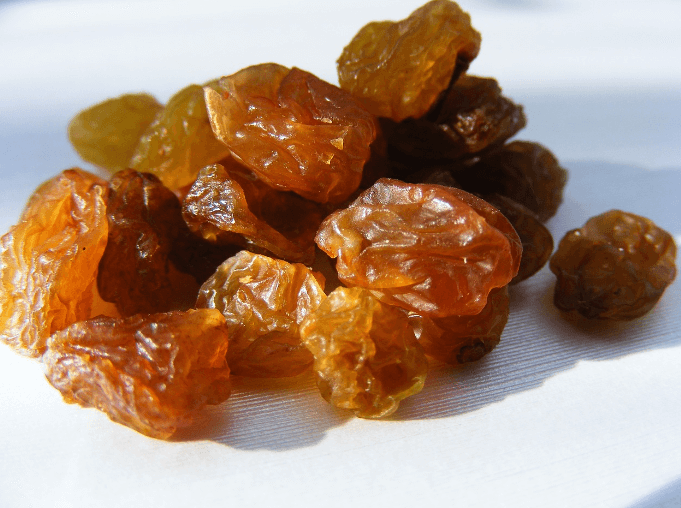 역류성식도염에 좋은 음식