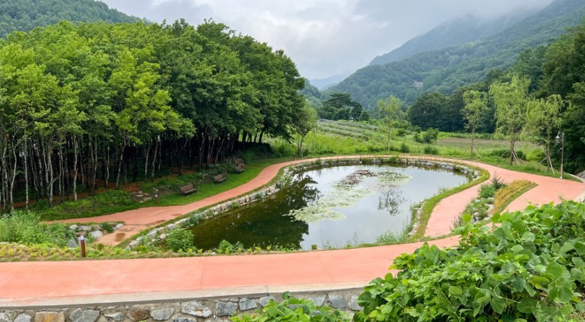  가야산 오토캠핑장