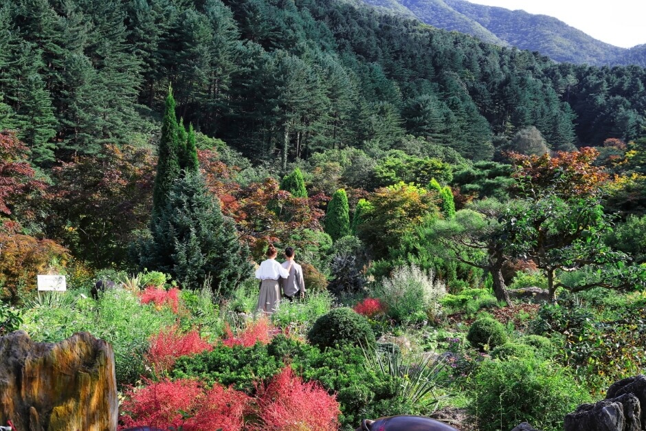 들국화 전시회5