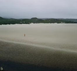 개별공시지가 조회 토지 부동산 건물 개별공시지가 조회