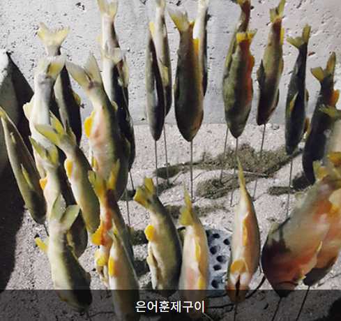 곡성장미축제
