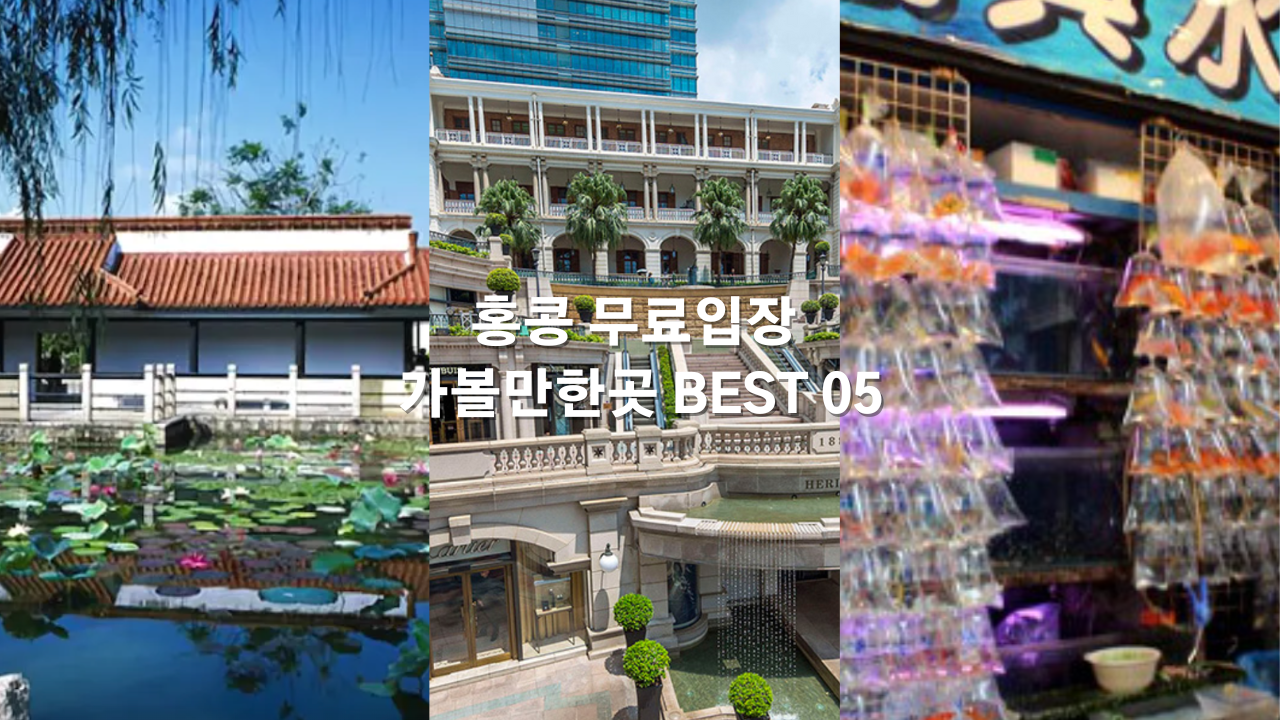 홍콩 자유여행 무료 입장 가볼만한곳 BEST 05