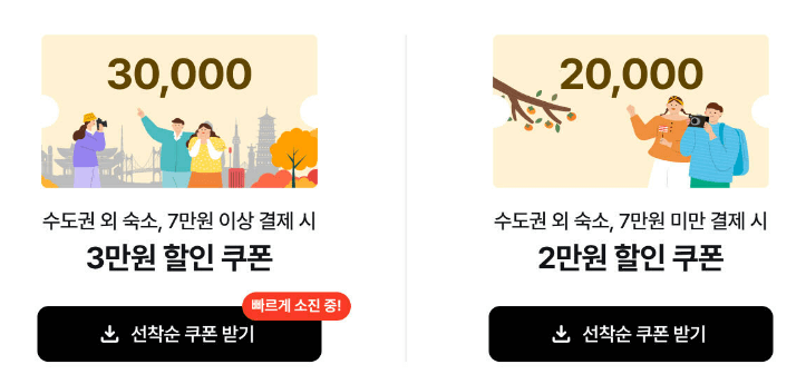숙박세일페스타에서 제공하는 3만원과 2만원 할인쿠폰