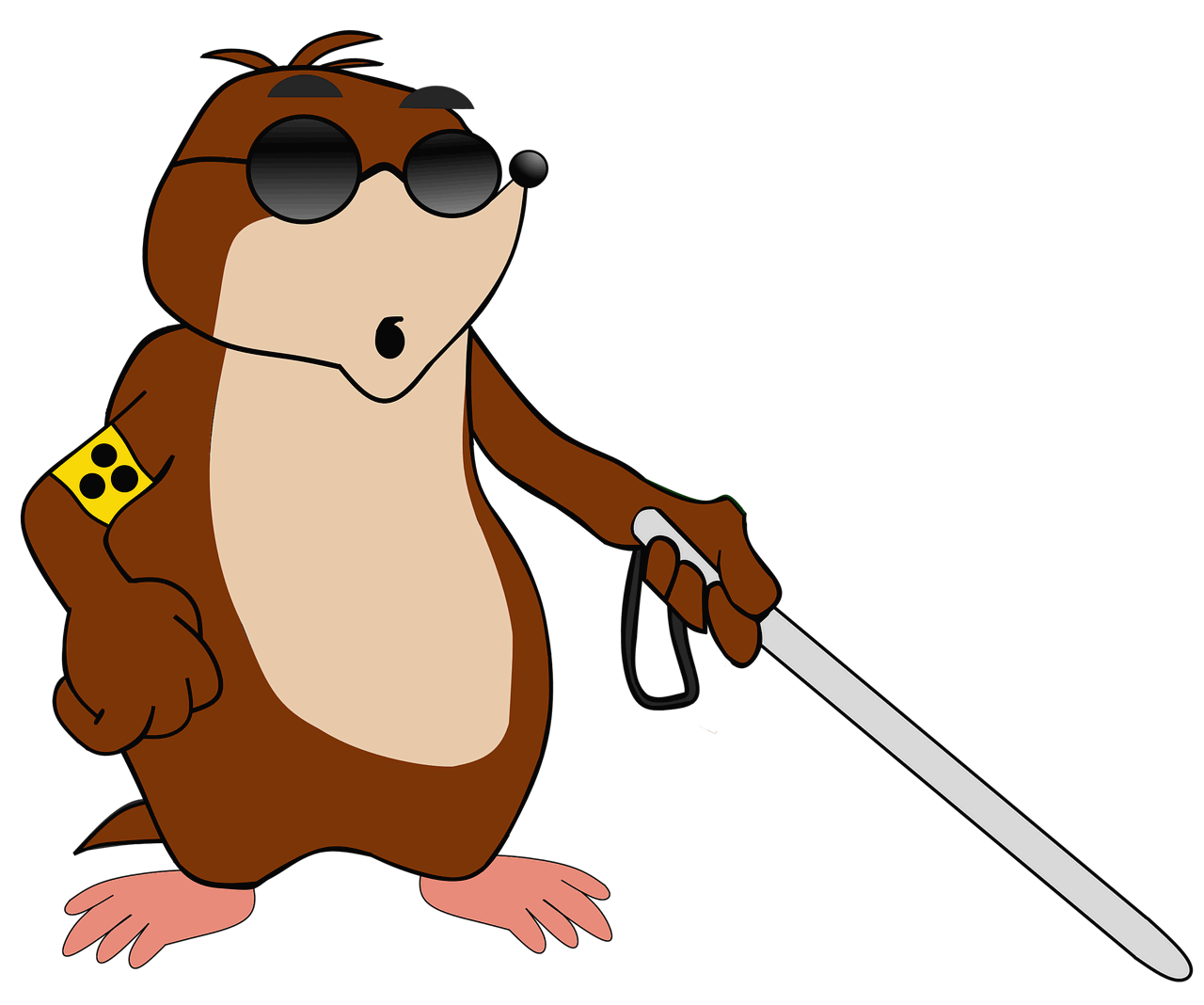 청각·시각 장애인을 위한 특별 지원 제도