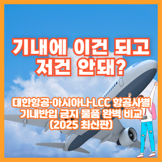기내에 이건 되고, 저건 안돼? 대한항공&middot;아시아나&middot;LCC 항공사별 기내반입 금지 물품 완벽 비교 (2025 최신판)