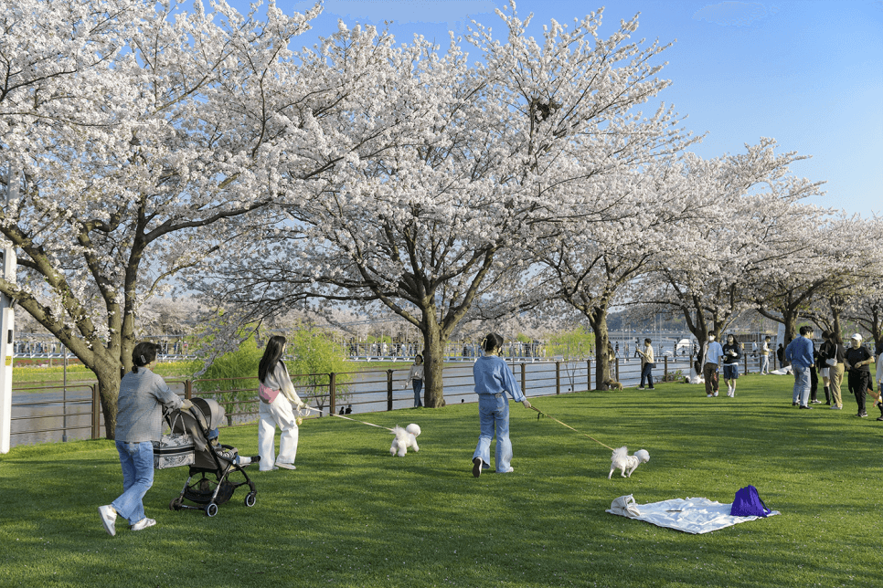 강아지와 산책하는 사람들