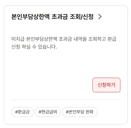 의료비 본인부담상한액 초과금 조회 바로가기 총정리