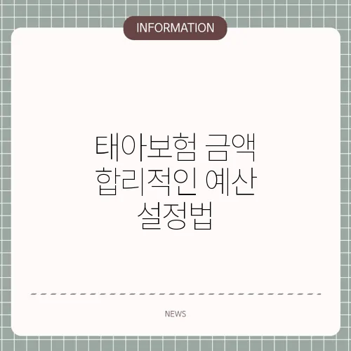 태아보험 금액 합리적인 예산 설정법