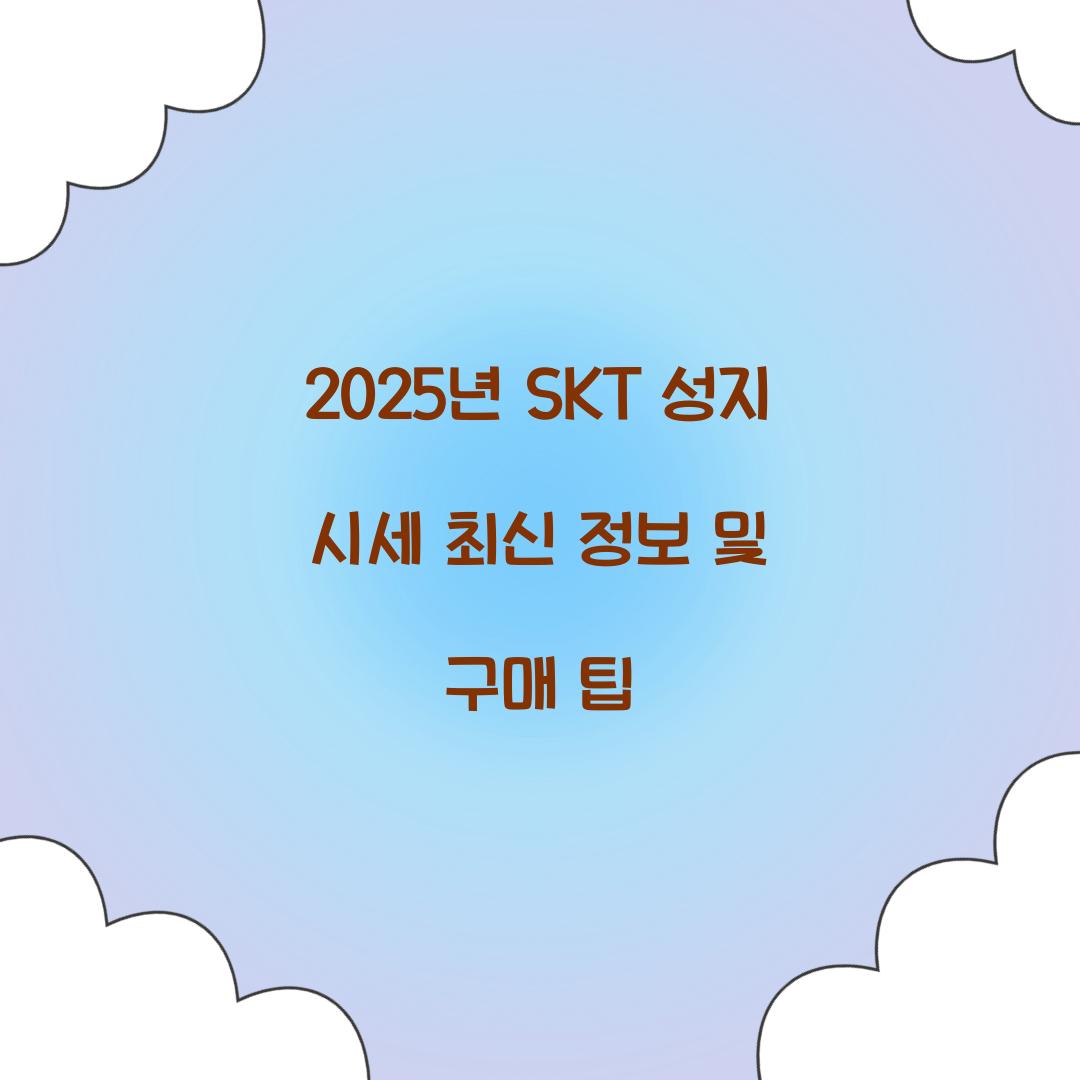 2025년 SKT 성지 시세