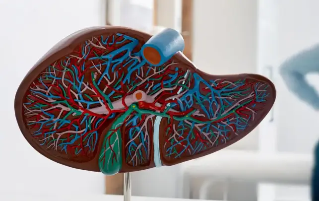 부종 빼는 방법