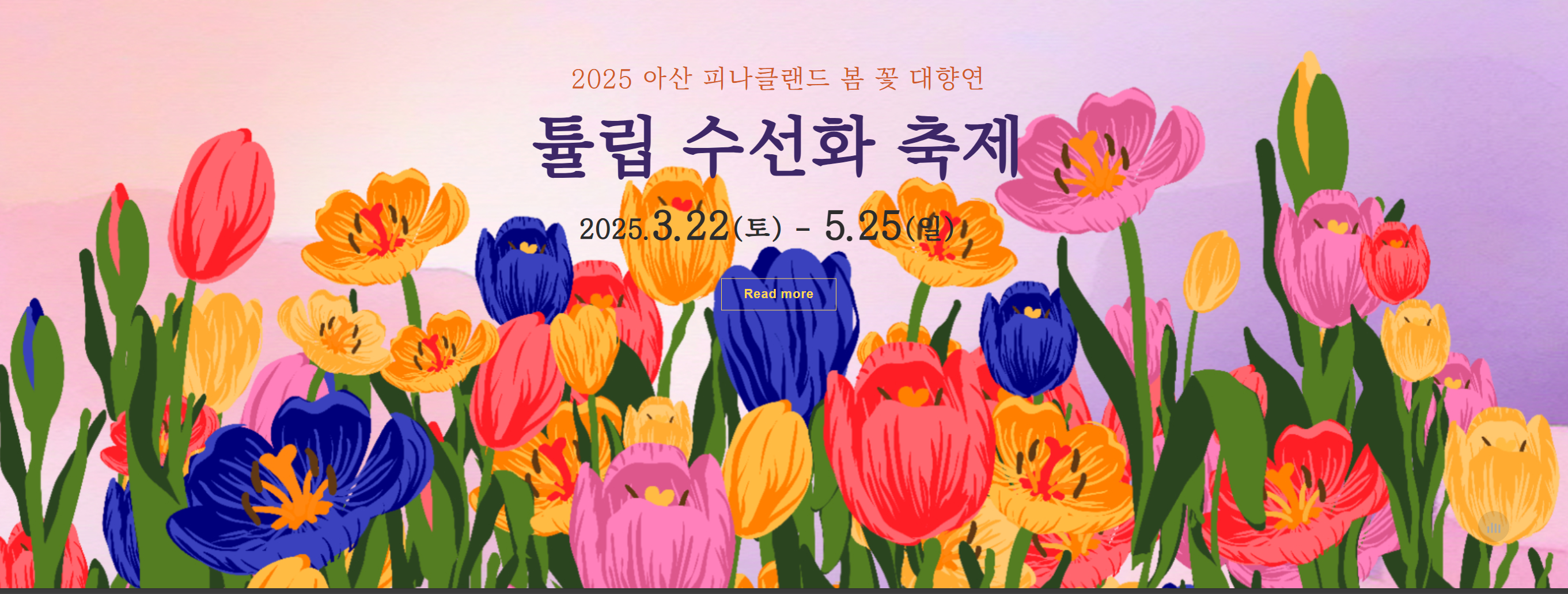 5월 축제 피나클랜드 튤립 불꽃 축제 일정 총정리
