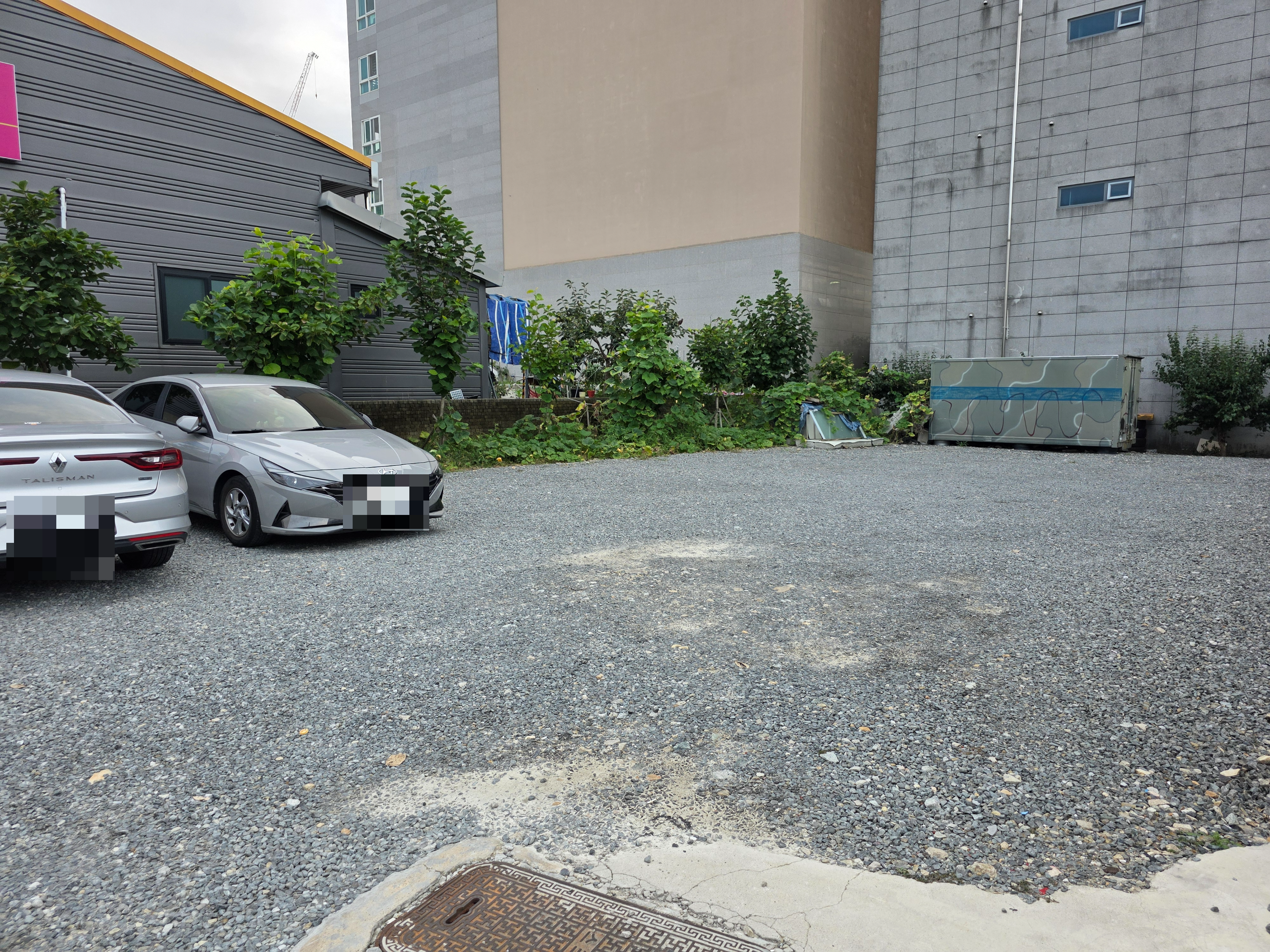 쭈꾸미랑 칼국수 용계동 목원대 원신흥동 칼국수 들깨수제비 쭈꾸미 가격 주차 04