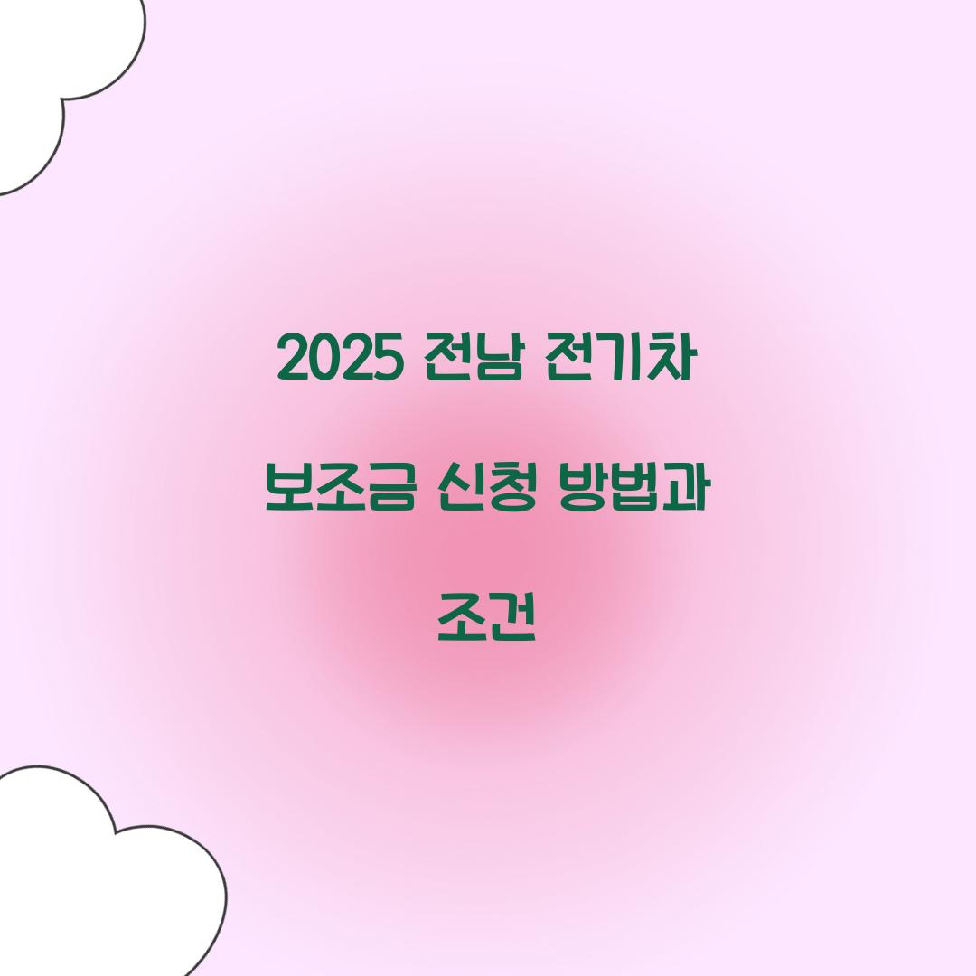 전남 전기차 보조금