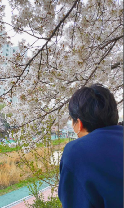 ๋ฒ๊ฝ๋ช
์